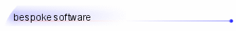 Bespoke Software